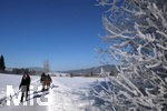 21.01.2017,  Hopfensee in Bayern, Der Hopfensee bei Fssen im Allgu ist ein beliebtes Ausflugsziel auch im Winter. Spaziergnger.