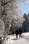 21.01.2017,  Hopfensee in Bayern, Der Hopfensee bei Fssen im Allgu ist ein beliebtes Ausflugsziel auch im Winter. Spaziergnger laufen unter Bumen mit Raureif. 