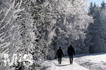 21.01.2017,  Hopfensee in Bayern, Der Hopfensee bei Fssen im Allgu ist ein beliebtes Ausflugsziel auch im Winter. Spaziergnger laufen unter Bumen mit Raureif. 