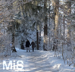 21.01.2017,  Hopfensee in Bayern, Der Hopfensee bei Fssen im Allgu ist ein beliebtes Ausflugsziel auch im Winter. Spaziergnger im Wald.