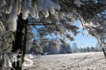 21.01.2017,  Hopfensee in Bayern, Der Hopfensee bei Fssen im Allgu ist ein beliebtes Ausflugsziel auch im Winter. 