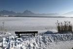 21.01.2017,  Hopfensee in Bayern, Der Hopfensee bei Fssen im Allgu ist ein beliebtes Ausflugsziel auch im Winter. Im Hintergrund der Ort Hopfen am See.
