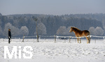 22.01.2017, Bad Wrishofen im Allgu: Winterlandschaft, ein Pferd auf einer Koppel. 

