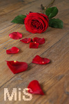 11.02.2017, am 14. Februar ist Valentinstag. Rote Rosen symbolisieren die Liebe.
  
