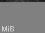 15.02.2017,  Fussball Champions-League 2016/2017, Achtelfinale, FC Bayern Mnchen - FC Arsenal London, in der Allianz-Arena Mnchen. Schiedsrichter Milorad Mazic gibt Anweisungen.