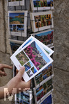 06.09.2017, Spanien, Insel Mallorca, Stadt Palma de Mallorca (Ciutat de Mallorca),  Display mit Ansichtskarten von Mallorca.