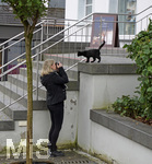07.10.2017, Neugierige schwarze Katze wird von einer Touristin fotografiert