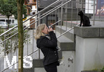 07.10.2017, Neugierige schwarze Katze wird von einer Touristin fotografiert