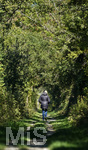 04.10.2018,  Sommer in Bayern,  Stausee in Stockheim bei Bad Wrishofen, Eine Frau geht am Ufer durch den Wald Spazieren. 
