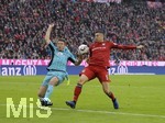 03.11.2018, Fussball 1. Bundesliga 2018/2019, 10. Spieltag,  FC Bayern Mnchen - Freiburg, in der Allianz-Arena Mnchen.  v.li: Marco Terrazzino (Freiburg) gegen Robert Lewandowski (FC Bayern Mnchen).

 
