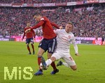 24.11.2018, Fussball 1. Bundesliga 2018/2019, 12. Spieltag,  FC Bayern Mnchen - Fortuna Dsseldorf, in der Allianz-Arena Mnchen. v.lI: Robert Lewandowski (FC Bayern Mnchen) gegen Robin Bormuth (Dsseldorf).

 
