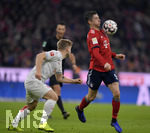 24.11.2018, Fussball 1. Bundesliga 2018/2019, 12. Spieltag,  FC Bayern Mnchen - Fortuna Dsseldorf, in der Allianz-Arena Mnchen.  re: Robert Lewandowski (FC Bayern Mnchen).

 
