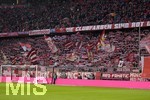 24.11.2018, Fussball 1. Bundesliga 2018/2019, 12. Spieltag,  FC Bayern Mnchen - Fortuna Dsseldorf, in der Allianz-Arena Mnchen.  Bayernfans in der Sdkurve.

 
