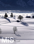 16.01.2019, Winterlandschaft bei Fssen im Allgu.  Panoramablick ins Tal mit den Alpengipfeln im Sden. Im Morgennebel im Hintergrund liegt die Stadt FSSEN.   