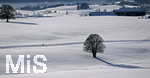 16.01.2019, Winterlandschaft bei Fssen im Allgu.  Panoramablick ins Tal.