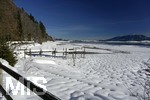 16.01.2019, Winterlandschaft bei Fssen im Allgu. Der Forggensee ist tief Verschneit. 