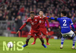 09.02.2019, Fussball 1. Bundesliga 2018/2019, 21. Spieltag, FC Bayern Mnchen - FC Schalke 04, in der Allianz-Arena Mnchen. v.li: Kingsley Coman (Bayern Mnchen) gegen Weston McKennie (FC Schalke 04).

 

