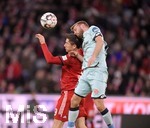 17.03.2019, Fussball 1. Bundesliga 2018/2019, 26. Spieltag, FC Bayern Mnchen - 1.FSV Mainz 05, in der Allianz-Arena Mnchen.  v.li: Robert Lewandowski (FC Bayern Mnchen) gegen Daniel Brosinski (FSV Mainz).

 
