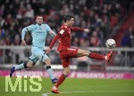 17.03.2019, Fussball 1. Bundesliga 2018/2019, 26. Spieltag, FC Bayern Mnchen - 1.FSV Mainz 05, in der Allianz-Arena Mnchen.  Robert Lewandowski (FC Bayern Mnchen) nimmt den Ball an.

 
