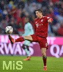 17.03.2019, Fussball 1. Bundesliga 2018/2019, 26. Spieltag, FC Bayern Mnchen - 1.FSV Mainz 05, in der Allianz-Arena Mnchen. Robert Lewandowski (FC Bayern Mnchen) am Ball.

 
