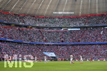 20.04.2019, Fussball 1. Bundesliga 2018/2019, 30. Spieltag, FC Bayern Mnchen - SV Werder Bremen, in der Allianz-Arena Mnchen, Bremer Fans auf der oberen Tribne.


 
