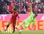 04.05.2019, Fussball 1. Bundesliga 2018/2019, 32. Spieltag, FC Bayern Mnchen - Hannoiver 96, in der Allianz Arena Mnchen. v.li: Serge Gnabry (FC Bayern Mnchen) gegen Miiko Albornoz (Hannover 96).

 
