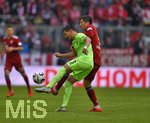 04.05.2019, Fussball 1. Bundesliga 2018/2019, 32. Spieltag, FC Bayern Mnchen - Hannoiver 96, in der Allianz Arena Mnchen. v.l. Miiko Albornoz (Hannover 96) gegen Robert Lewandowski (FC Bayern Mnchen) 

 
