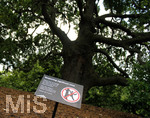 28.05.2019, London. Kew Gardens, Schild mit Aufschrift Respecting significant trees.