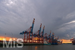 08.09.2019,  Hamburg. Hamburg Hafen, Entladekrne im Abendlicht mit Regenwolken.

