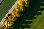 15.10.2019, Herbstimpressionen in Bad Wrishofen im Allgu,  Traktor fhrt an einer Allee entlang. Die Bume werfen lange Schatten, Luftbild 


