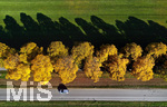 15.10.2019, Herbstimpressionen in Bad Wrishofen im Allgu,  Auto fhrt an einer Allee entlang. Die Bume werfen lange Schatten, Luftbild 


