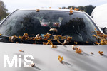 21.10.2019, Herbst in Bad Wrishofen im Unterallgu.  Auf einem Auto liegen Bltter die von einem Baum gefallen sind.