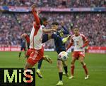 09.03.2024, Fussball 1. Bundesliga 2023/2024, 25.Spieltag, FC Bayern Mnchen - 1.FSV Mainz 05, in der Allianz-Arena Mnchen. Serge Gnabry (FC Bayern Mnchen) trifft zum 6:1 

