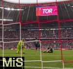 09.03.2024, Fussball 1. Bundesliga 2023/2024, 25.Spieltag, FC Bayern Mnchen - 1.FSV Mainz 05, in der Allianz-Arena Mnchen.  Tor zum 5.1 fr Bayern, die Mainzer liegen geschlagen am Boden. Torwart Robin Zentner (FSV Mainz) 


