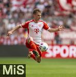 13.04.2024, Fussball 1. Bundesliga 2023/2024, 29.Spieltag, FC Bayern Mnchen - 1.FC Kln, in der Allianz-Arena Mnchen.  Joshua Kimmich (FC Bayern Mnchen) stoppt den Ball aus der Luft


