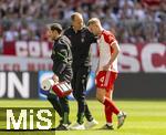 27.04.2024, Fussball 1. Bundesliga 2023/2024, 31.Spieltag, FC Bayern Mnchen - Eintracht Frankfurt, in der Allianz-Arena Mnchen. re: Matthijs de Ligt (FC Bayern Mnchen) verletzt.