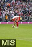 27.04.2024, Fussball 1. Bundesliga 2023/2024, 31.Spieltag, FC Bayern Mnchen - Eintracht Frankfurt, in der Allianz-Arena Mnchen.   Harry Kane (FC Bayern Mnchen) legt sich den Ball zum Elfmeter zurecht.

