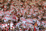 Fussball 1.Bundesliga 2006/07:  34. Spieltag,  VfB Stuttgart - FC Energie Cottbus  19.05.2007,  Die Stuttgarter Fans feiern mit tausenden Fahnen.