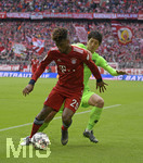 04.05.2019, Fussball 1. Bundesliga 2018/2019, 32. Spieltag, FC Bayern Mnchen - Hannoiver 96, in der Allianz Arena Mnchen. Genki Haraguchi (Hannover 96) gegen Kingsley Coman (li, Bayern Mnchen).

 
