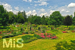 14.07.2019, Sommer in Bad Wrishofen im Unterallgu. Kurpark.  Die Rosenbeete stehen in voller Blte. Mehr als 6.000 Rosenstcke betren die Sinne im Sommer.
