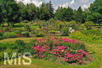 14.07.2019, Sommer in Bad Wrishofen im Unterallgu. Kurpark.  Die Rosenbeete stehen in voller Blte. Mehr als 6.000 Rosenstcke betren die Sinne im Sommer.