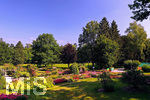 14.07.2019, Sommer in Bad Wrishofen im Unterallgu. Kurpark.  Die Rosenbeete stehen in voller Blte. Mehr als 6.000 Rosenstcke betren die Sinne im Sommer.