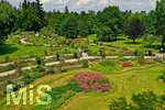 14.07.2019, Sommer in Bad Wrishofen im Unterallgu. Kurpark.  Die Rosenbeete stehen in voller Blte. Mehr als 6.000 Rosenstcke betren die Sinne im Sommer.