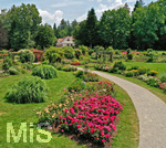 14.07.2019, Sommer in Bad Wrishofen im Unterallgu. Kurpark.  Die Rosenbeete stehen in voller Blte. Mehr als 6.000 Rosenstcke betren die Sinne im Sommer.