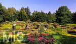 14.07.2019, Sommer in Bad Wrishofen im Unterallgu. Kurpark.  Die Rosenbeete stehen in voller Blte. Mehr als 6.000 Rosenstcke betren die Sinne im Sommer.