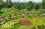 14.07.2019, Sommer in Bad Wrishofen im Unterallgu. Kurpark.  Die Rosenbeete stehen in voller Blte. Mehr als 6.000 Rosenstcke betren die Sinne im Sommer.