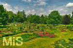14.07.2019, Sommer in Bad Wrishofen im Unterallgu. Kurpark.  Die Rosenbeete stehen in voller Blte. Mehr als 6.000 Rosenstcke betren die Sinne im Sommer.