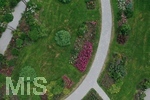 14.07.2019, Sommer in Bad Wrishofen im Unterallgu. Kurpark.  Die Rosenbeete stehen in voller Blte. Mehr als 6.000 Rosenstcke betren die Sinne im Sommer.