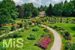 14.07.2019, Sommer in Bad Wrishofen im Unterallgu. Kurpark.  Die Rosenbeete stehen in voller Blte. Mehr als 6.000 Rosenstcke betren die Sinne im Sommer.