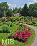 14.07.2019, Sommer in Bad Wrishofen im Unterallgu. Kurpark.  Die Rosenbeete stehen in voller Blte. Mehr als 6.000 Rosenstcke betren die Sinne im Sommer.